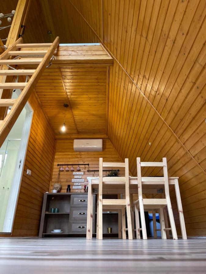 Cabane A-Frame Svinita Zewnętrze zdjęcie
