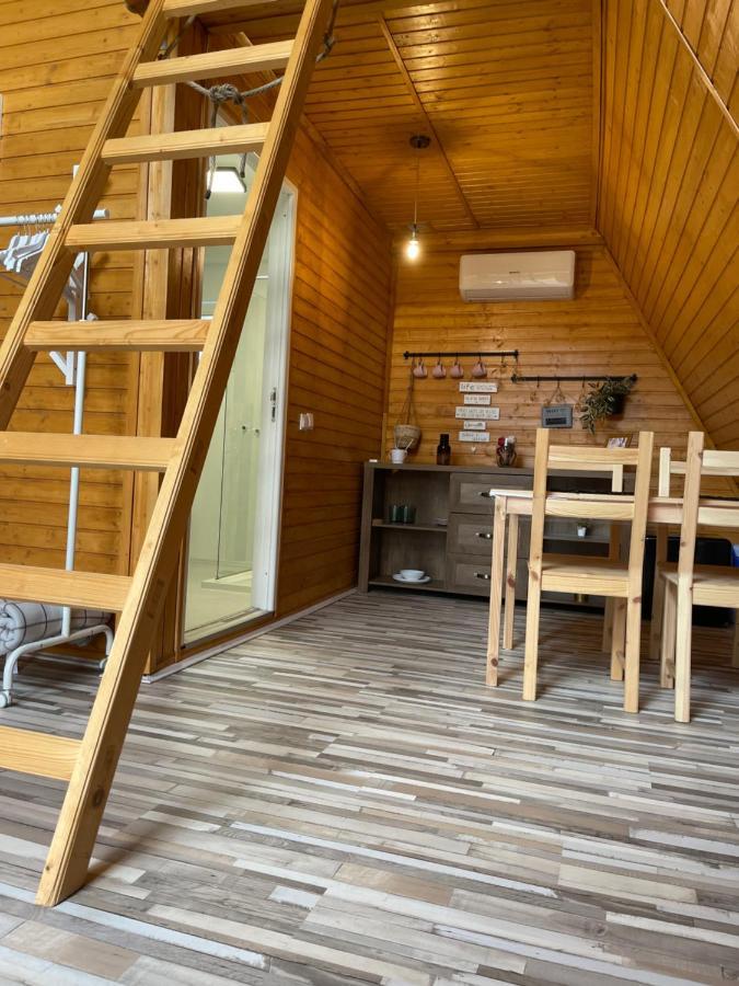Cabane A-Frame Svinita Zewnętrze zdjęcie